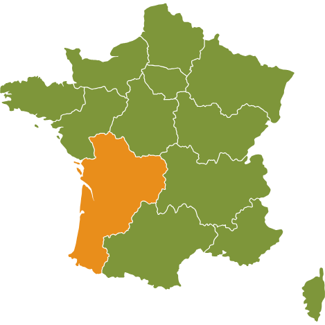 AMADONE FORMATION MASSAGE D'ART